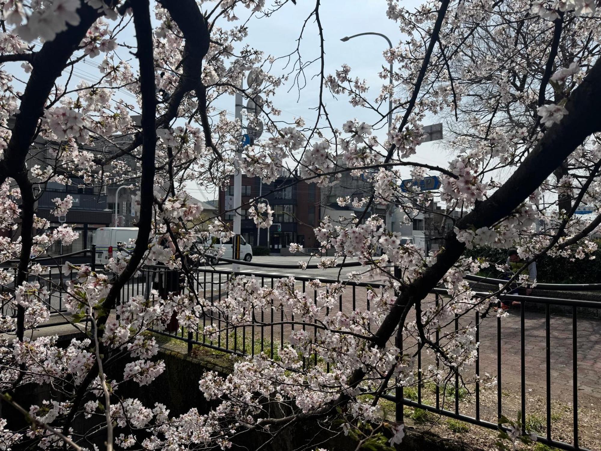 Mont-モン-Kamogawa Stay And Hotel 京都市 エクステリア 写真